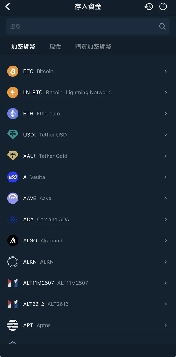 Bitfinex 存入資金清單