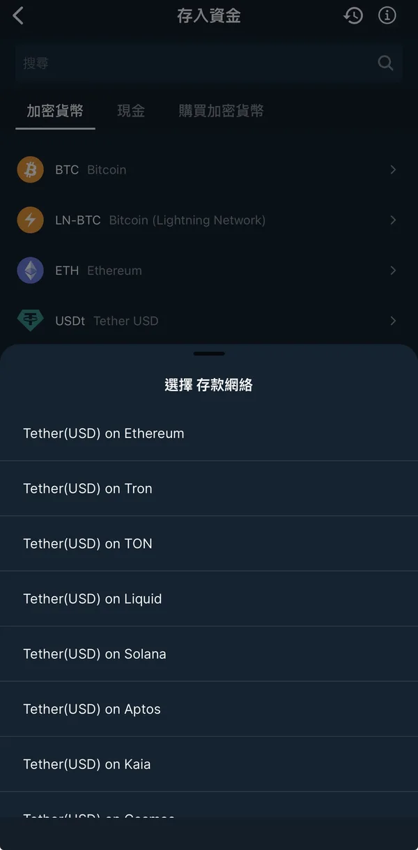 Bitfinex 選擇網路